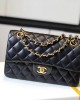 Chanel SMALL CLASSIC HANDBAG