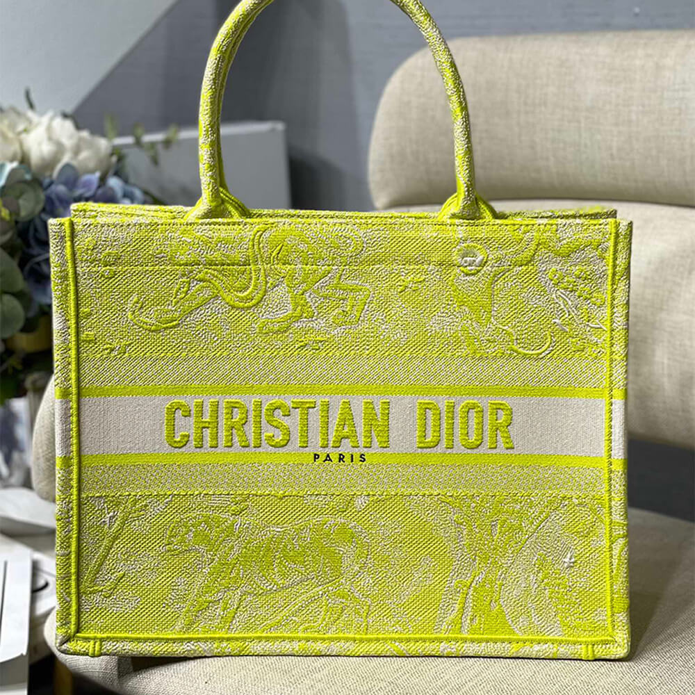 SMALL DIOR BOOK TOTE