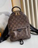 Louis Vuitton PALM SPRINGS PM