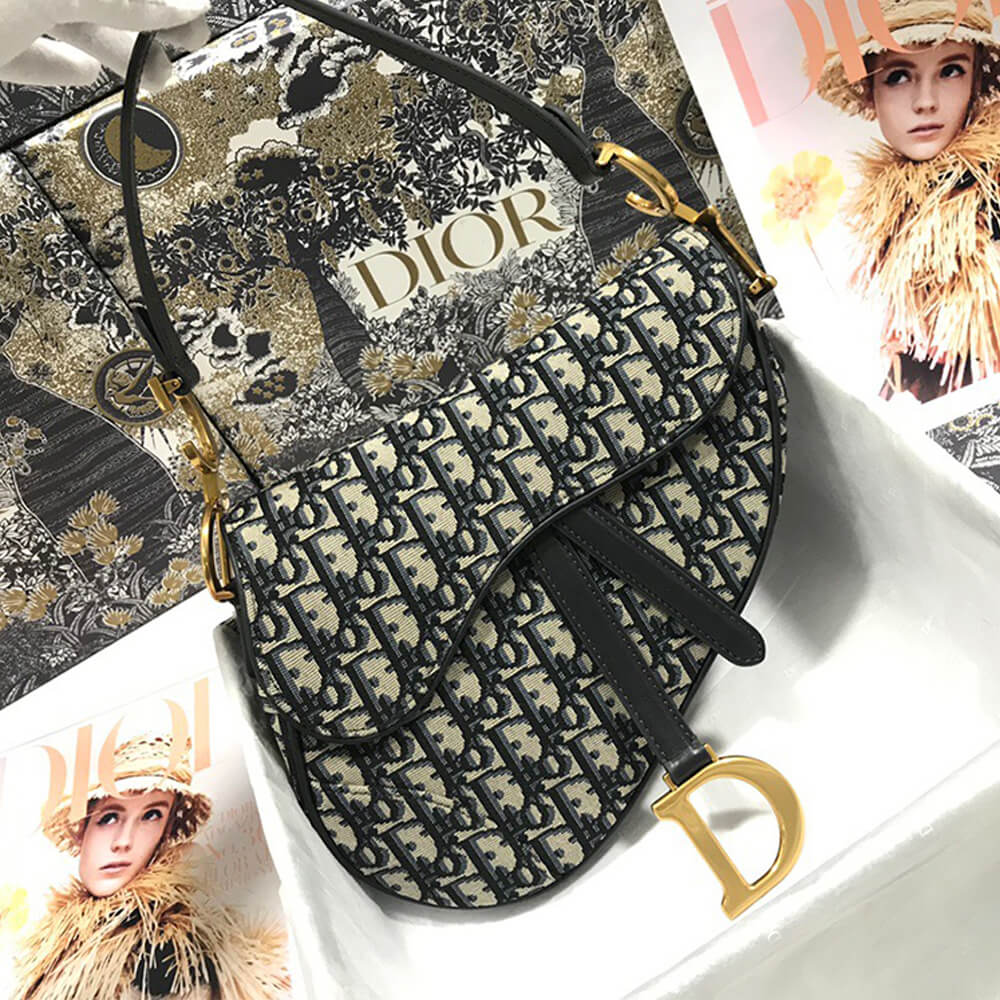 Dior SADDLE BAG