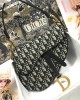 Dior SADDLE BAG