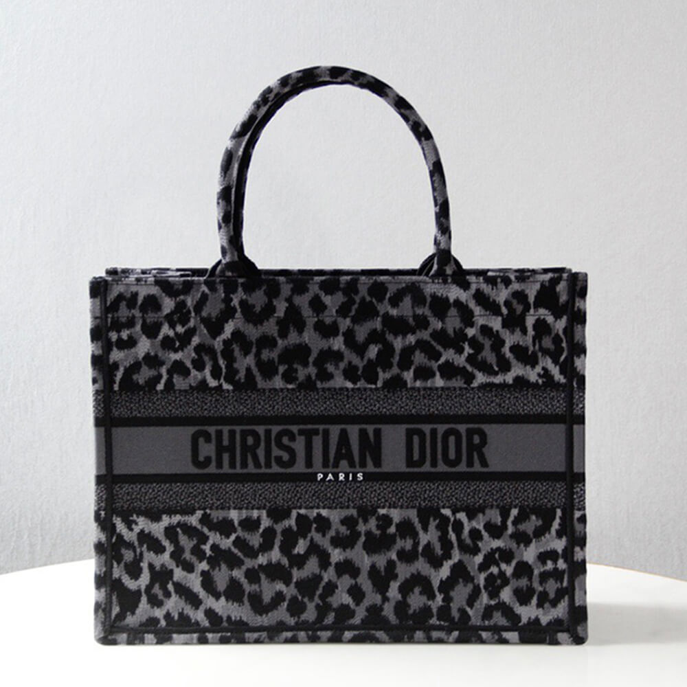 SMALL DIOR BOOK TOTE