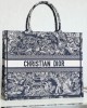 LARGE DIOR BOOK TOTE