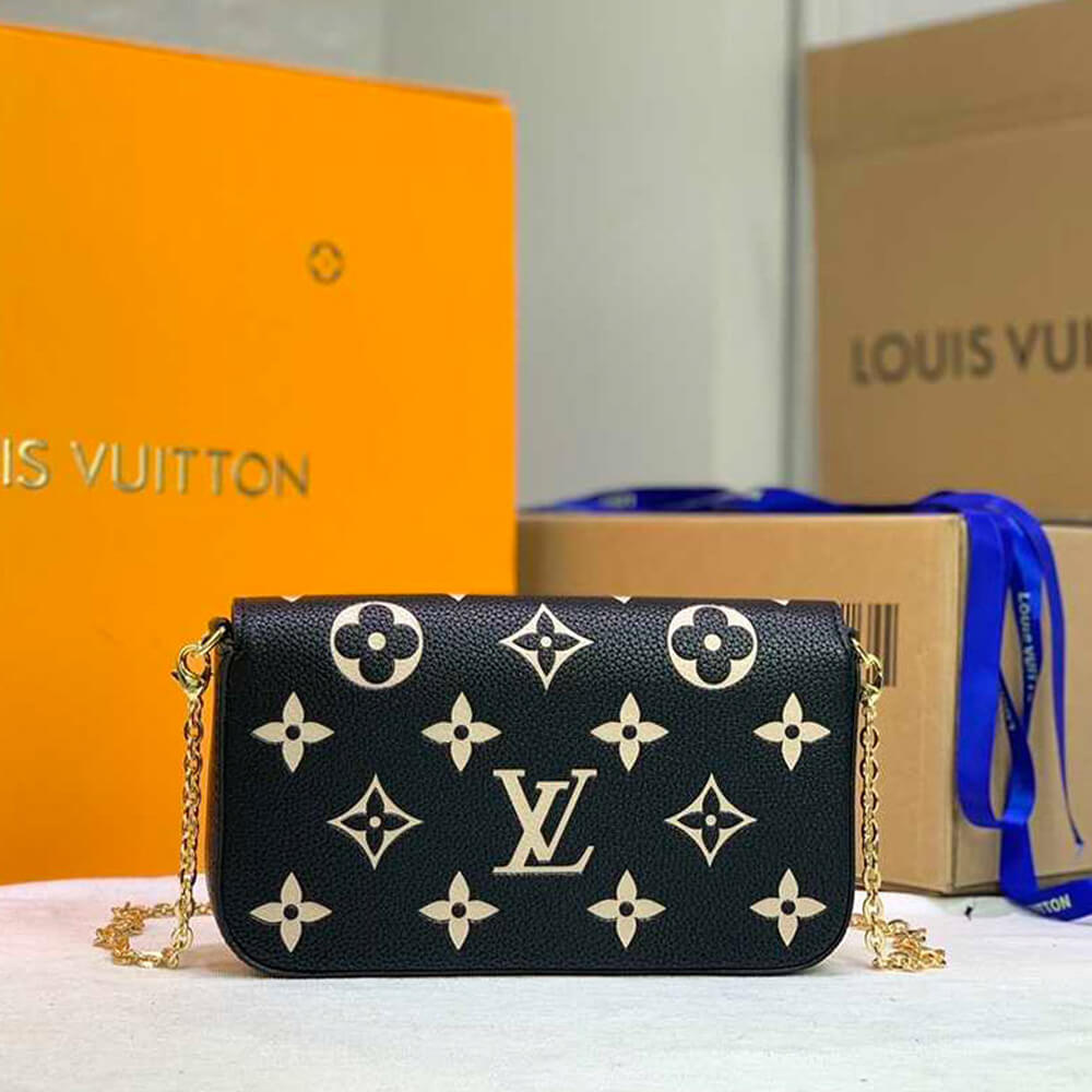 Louis Vuitton Felicie pochette bag