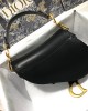 Dior MINI SADDLE BAG