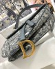 Dior SADDLE BAG