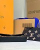 Louis Vuitton Felicie pochette bag