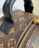 Louis Vuitton PALM SPRINGS PM