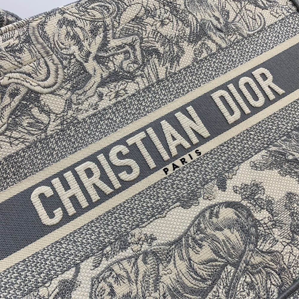 SMALL DIOR BOOK TOTE