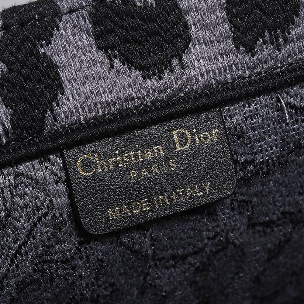 LARGE DIOR BOOK TOTE