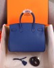 HERMES BIRKIN BAG 25