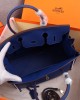 HERMES BIRKIN BAG 25