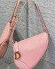 Dior Saddle Rodeo Pouch