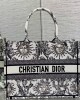 Medium Dior Book Tote