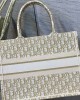 Medium Dior Book Tote