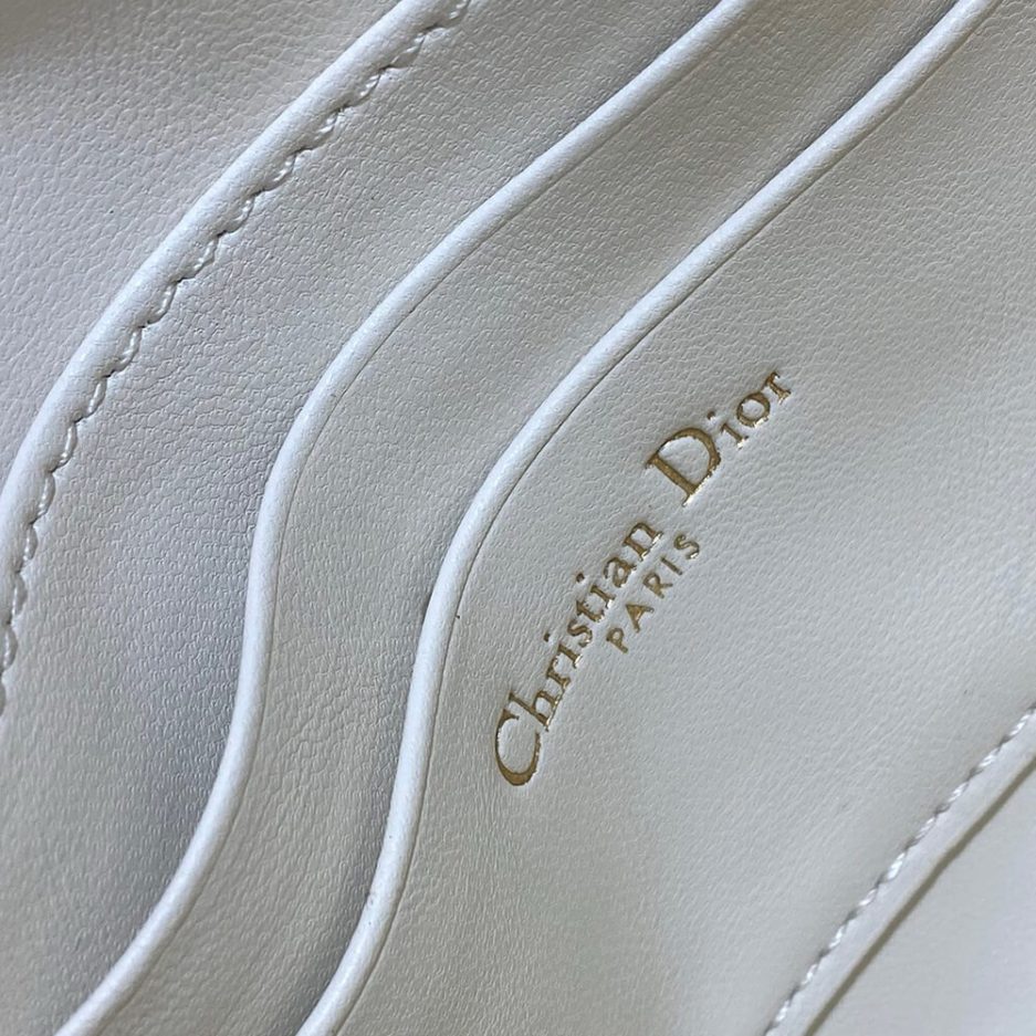 Dior Saddle Rodeo Pouch