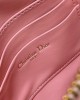 Dior Saddle Rodeo Pouch