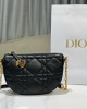 Diorstar Callisto bag